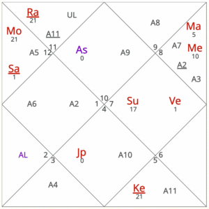 November 2025 horoscope for Capricorn